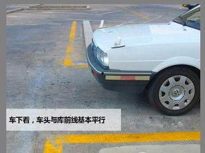 左倒库一把入库技巧视频,视频解析与实战指南