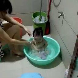 蚯蚓生宝宝视频,一场奇妙的生命孕育之旅